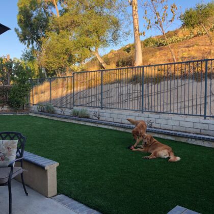 Copy of Johnson Foothill Ranch Afters 7