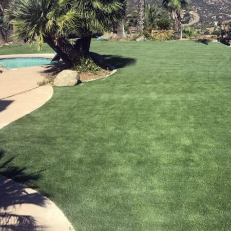 artificial-grass-9-min-1024x630