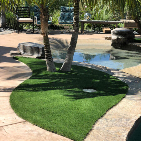 artificial-grass-san-diego-ca-ideas-768x1024
